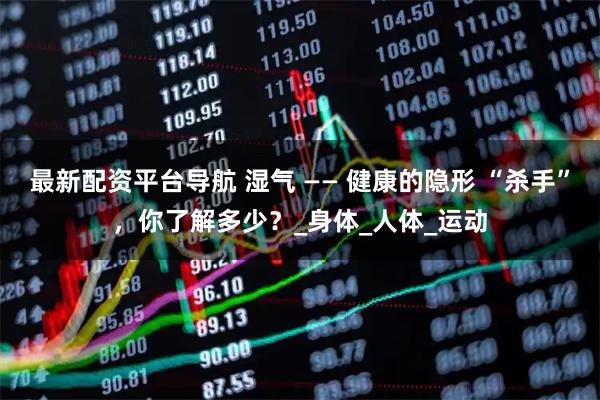 最新配资平台导航 湿气 —— 健康的隐形 “杀手”，你了解多少？_身体_人体_运动